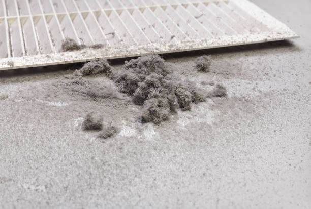 Best Affordable Duct Cleaning Services  in De Pue, IL